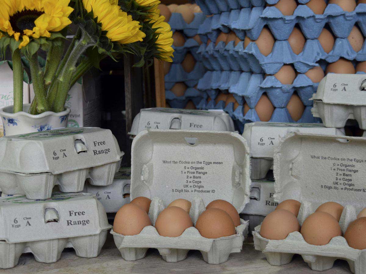 free range eggs